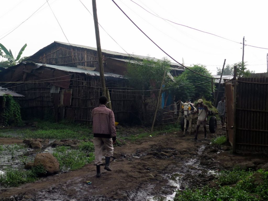 Backstreets of Tis Abay village, Ethiopia