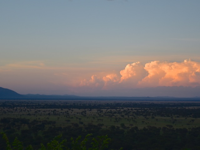 Sunset view in Serengeti west, Tanzania