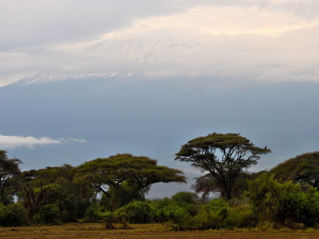 Mount Kilimanjaro, Amboseli, Kenya