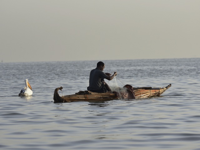 fisherman and pelican, lake Tana, Ethiopia