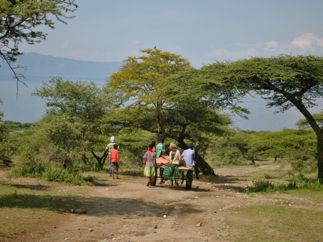 Horse-drawn carriage in Abijatta Shalla National Park, Ethiopia