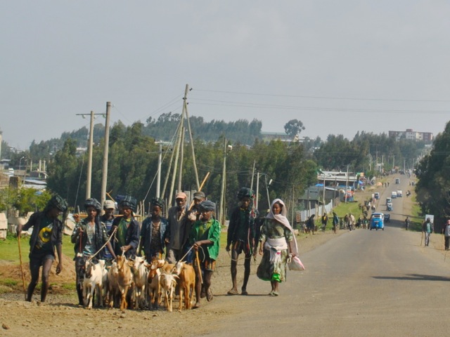 Road from Blue Nile falls to Addis Ababa, Ethiopia