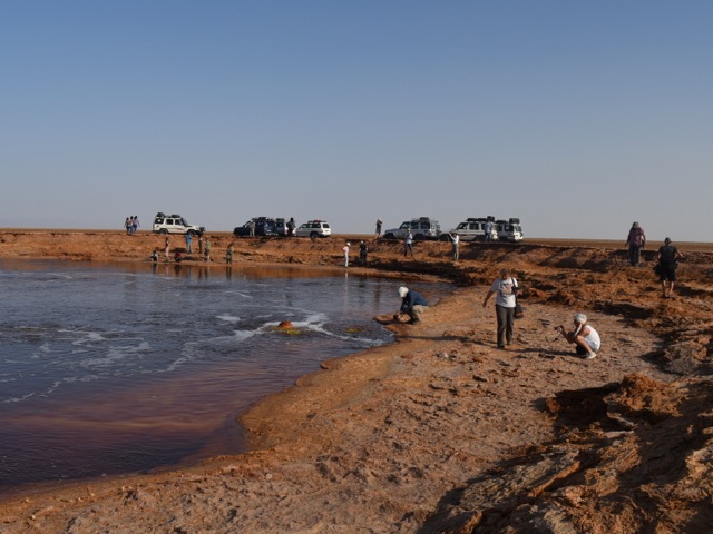 Gaet’ale springs and lake with tourist vehicles near Dallol in Danakil, Ethiopia