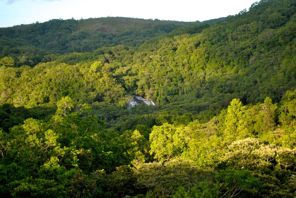 waterfall-view