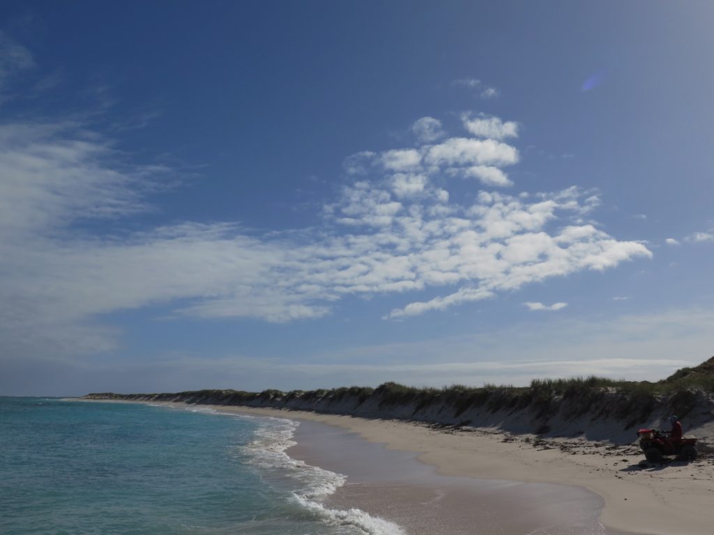 beach near Coral Bay, Western Australia