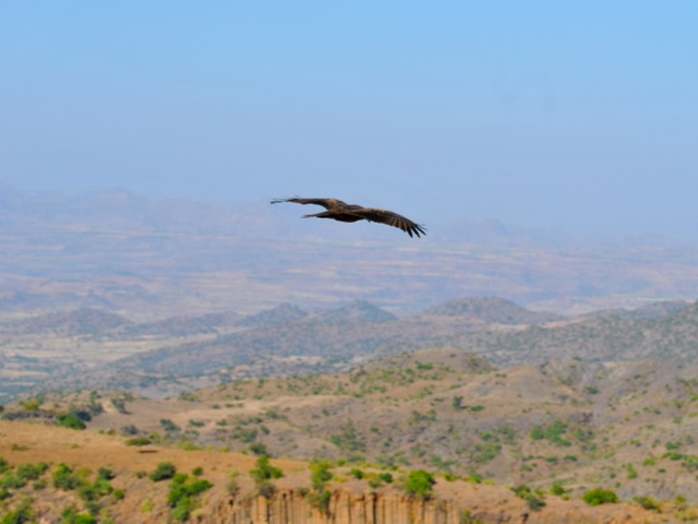 Kite and scenery around Lalibela, Ethiopia