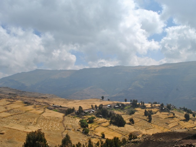 Fields in highlands near Simien mountains national park, Ethiopia