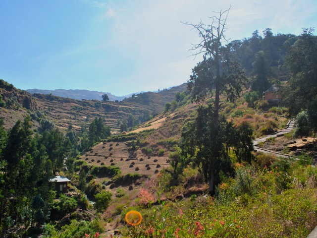 Path to Yemrehanna Kristos monastery, Ethiopia
