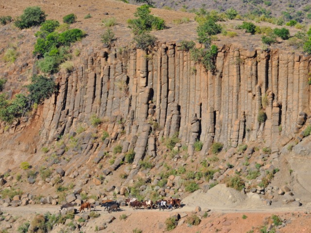 Columnar rock formation and cattle near Lalibela, Ethiopia