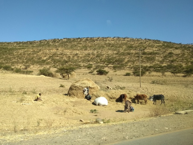 Farmers along the road from Mekele towards Afar, Ethiopia