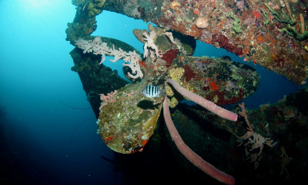 Propeller on Hilma Hooker wreck, Bonaire