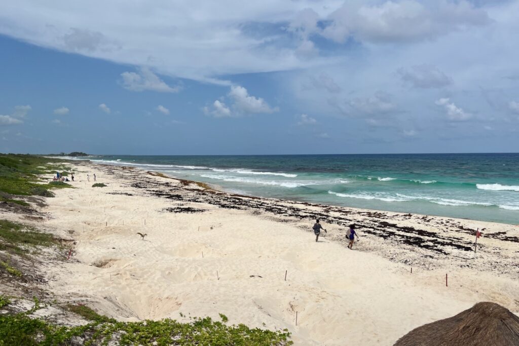 East side beaches and turtle nesting sites, Cozumel, Mexico
