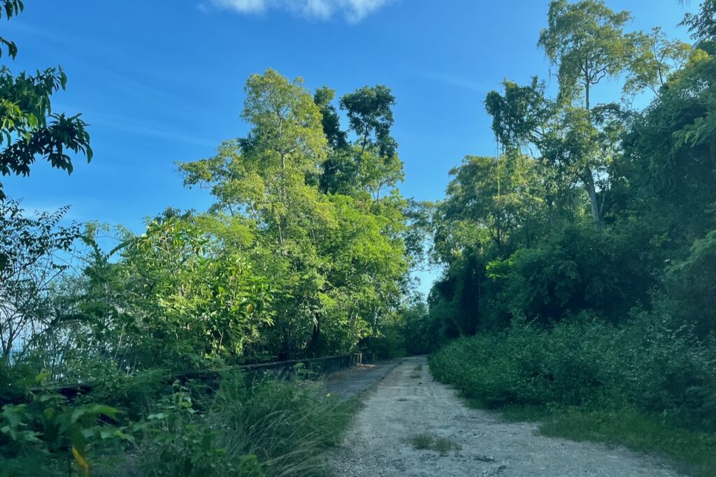 Road to James Bond beach, Oracabessa, Jamaica