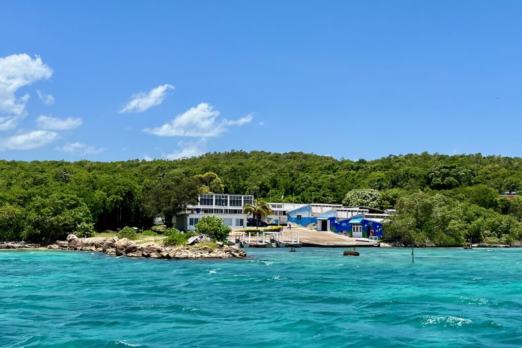 University of West Indies Marine Lab, Discovery Bay, Jamaica