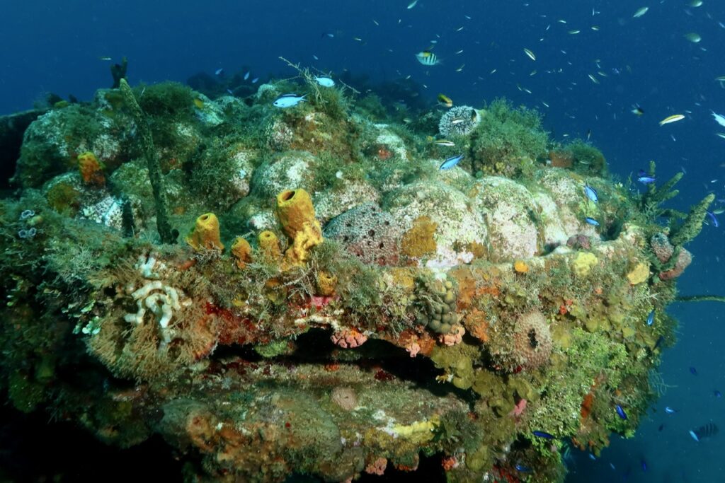 Katherine wreck in May 2023, Ocho Rios, Jamaica