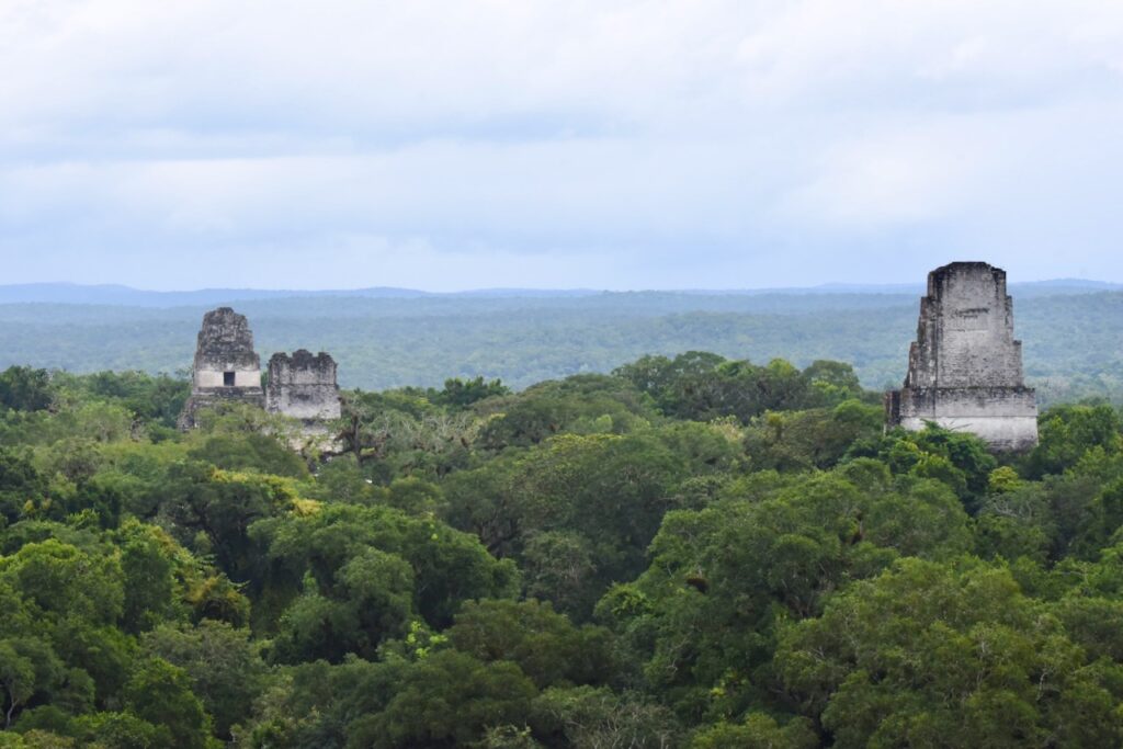 View over Tikal from Temple IV, made famous by star wars movie