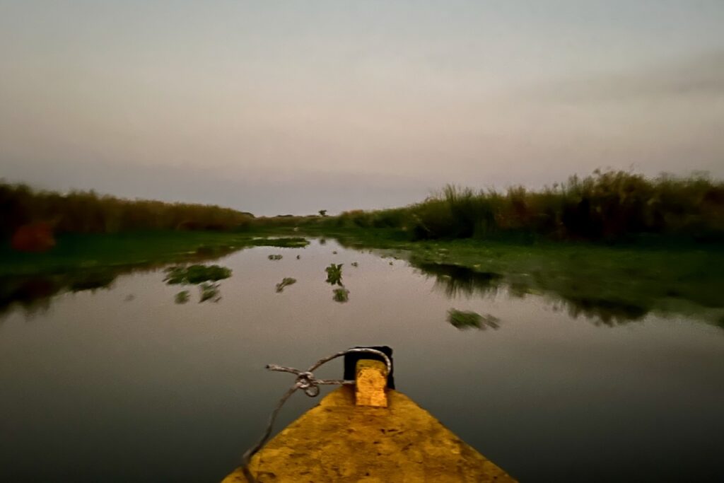 Boat tour in Monterrico mangroves before sunrise, Guatemala