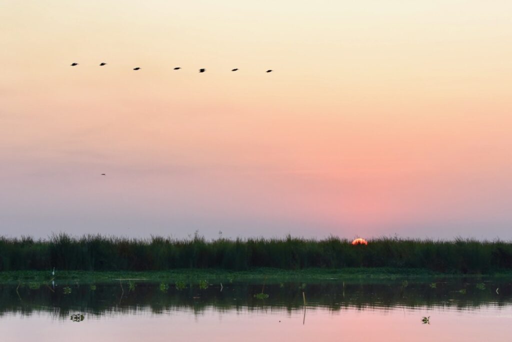 Sunrise in Monterrico mangroves, Guatemala