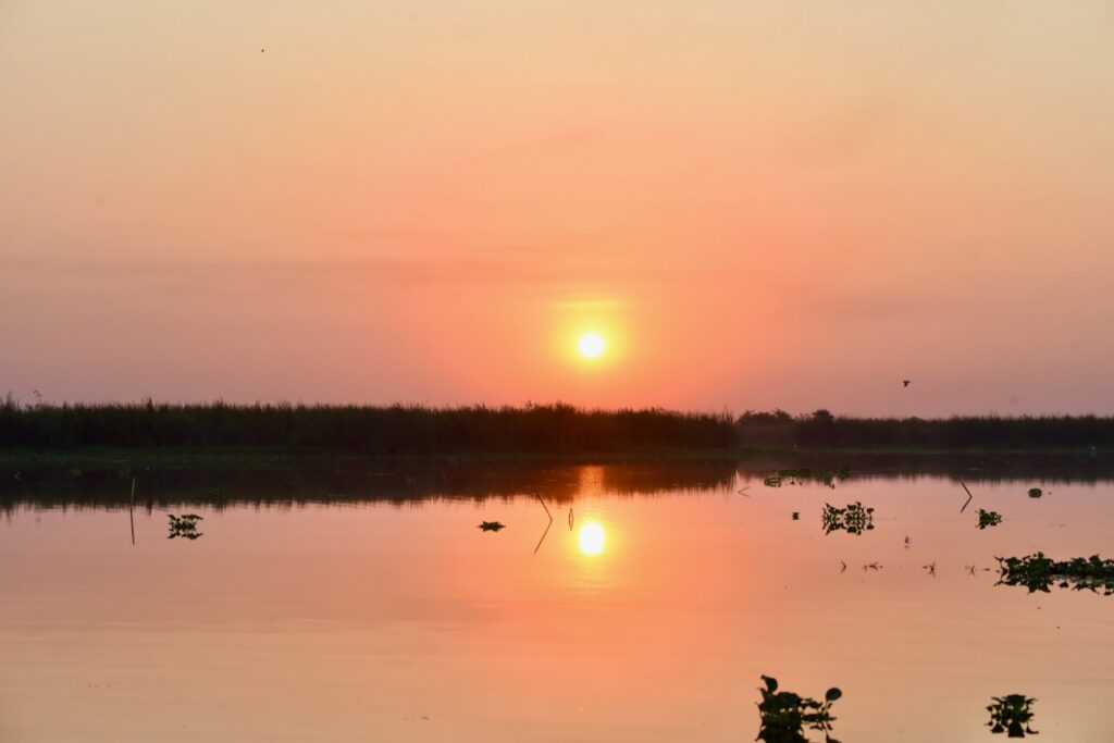 Sunrise in Monterrico mangroves, Guatemala