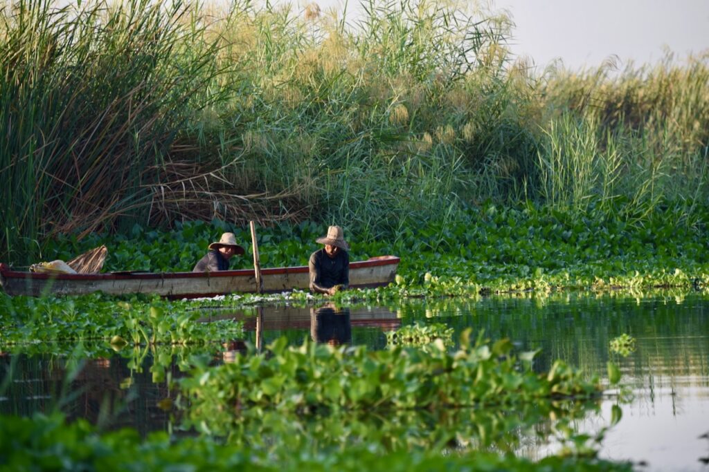 Fishermen, Monterrico mangroves, Guatemala