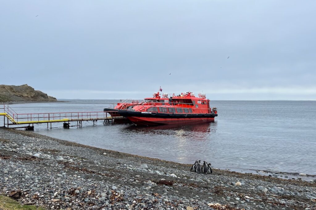 Penguin tour boats at the pier on Magdalena island, Chile