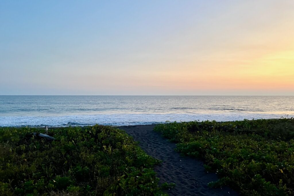 Walkway to the beach from our airbnb, near Monterrico, Guatemala