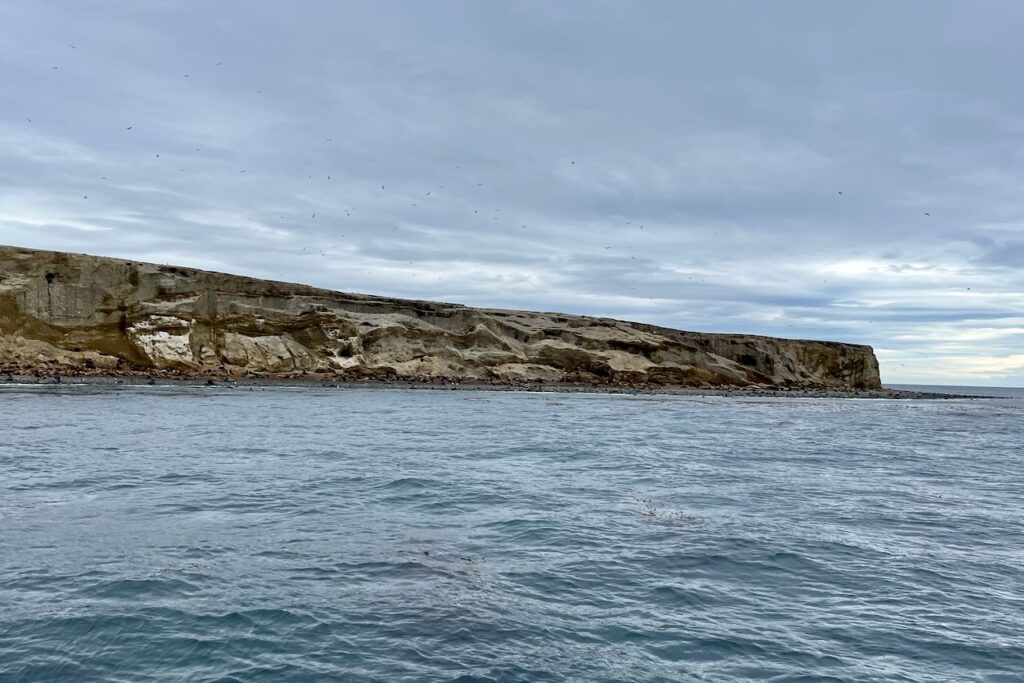 Marta island, Chile