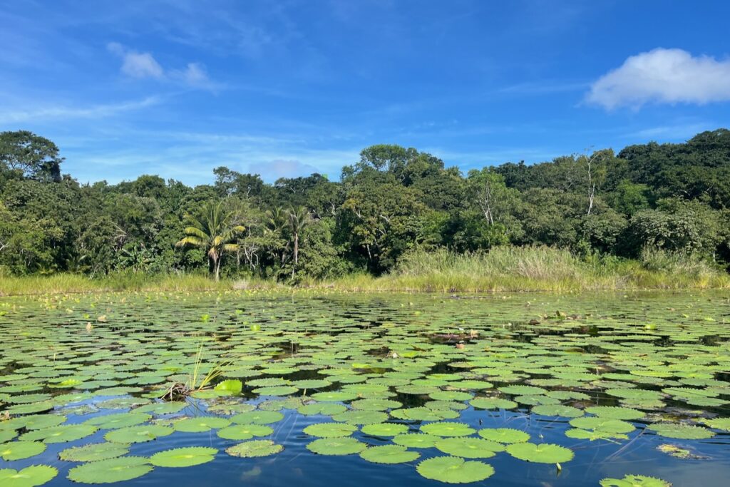 Around lake Peten Itza, Guatemala