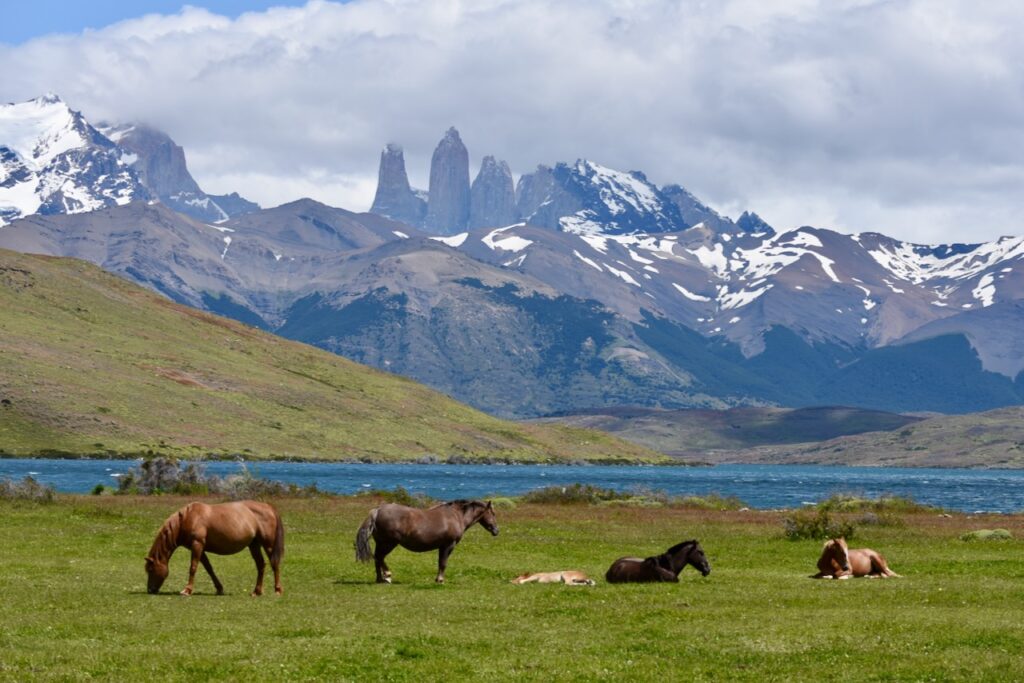 Laguna Azul, Torres del Paine, Chile