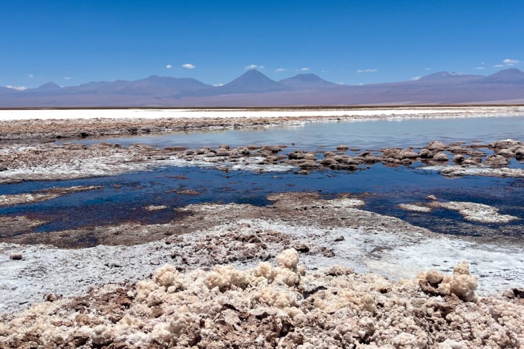 Laguna Chaxa, Salar de Atacama, Chile