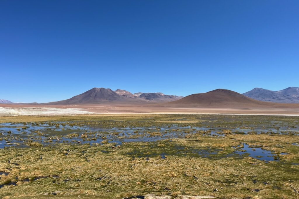 Putana river and Putana volcano, on the way from el Tatio to San Pedro, Atacama, Chile